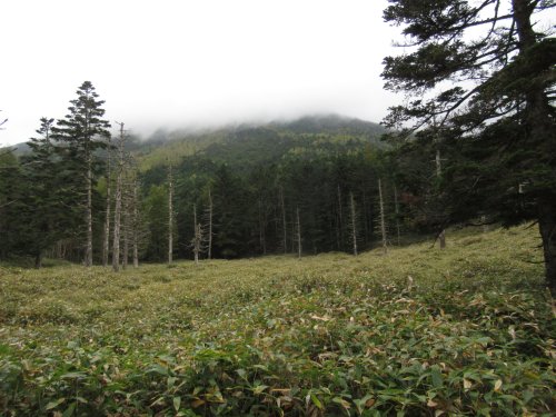 登山道